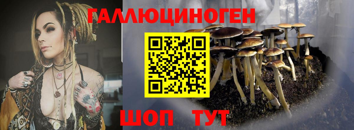 Галлюциногенные грибы Cubensis Ухта